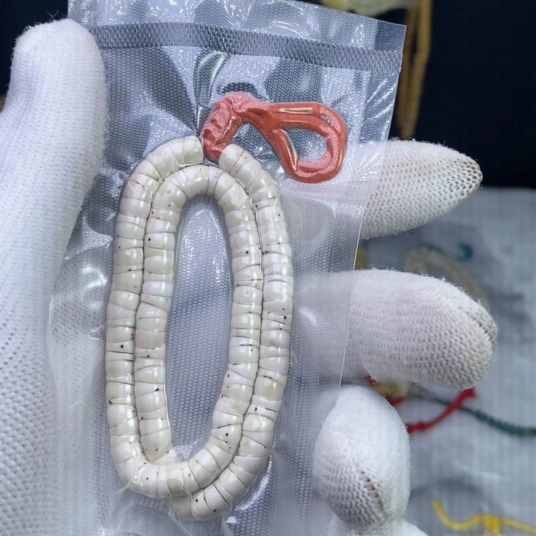 【闪购商品】星月菩提手串m*.卡6原生态一颗牛毛星大肠