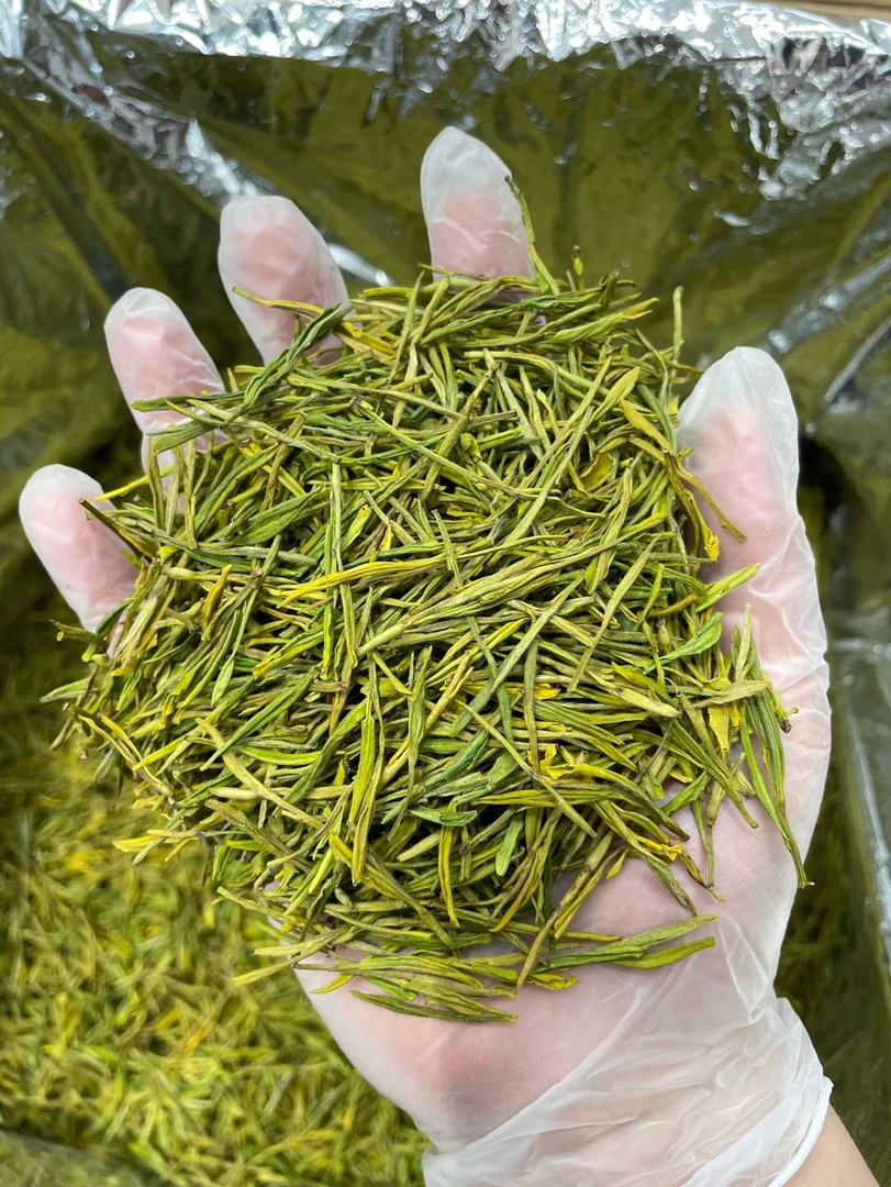 2025年新茶 明前黄金芽   高山料 250克袋装