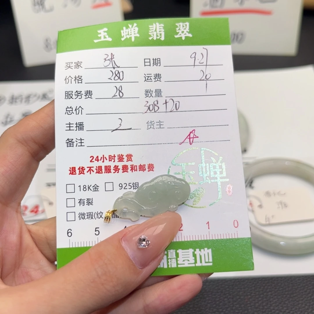 资***张翡翠未镶嵌颈饰挂件
