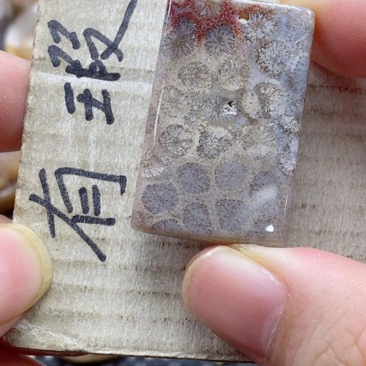 硅化珊瑚（珊瑚玉）颈饰未镶嵌小吊坠