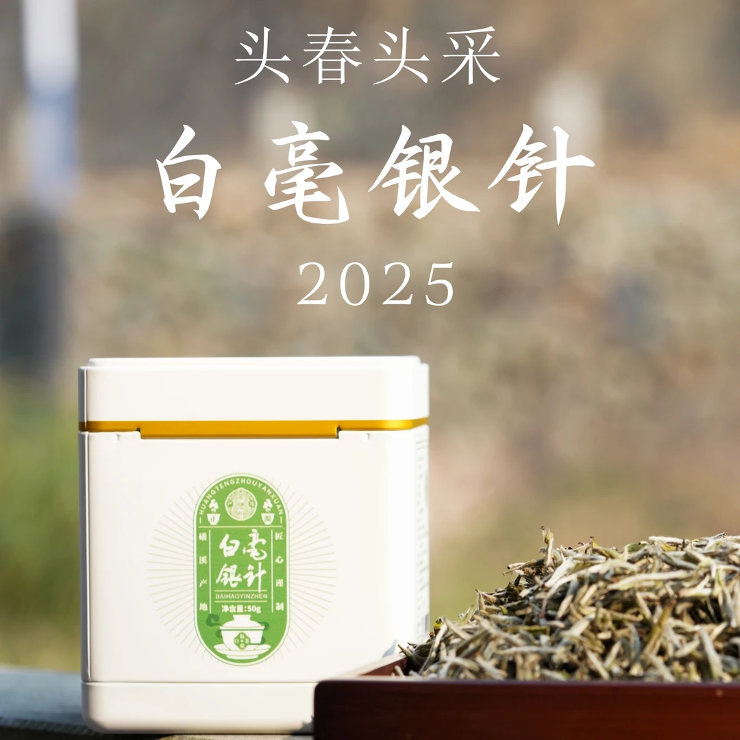 【2025新茶】头春头采白毫银针一两装50克福鼎白茶核心产区