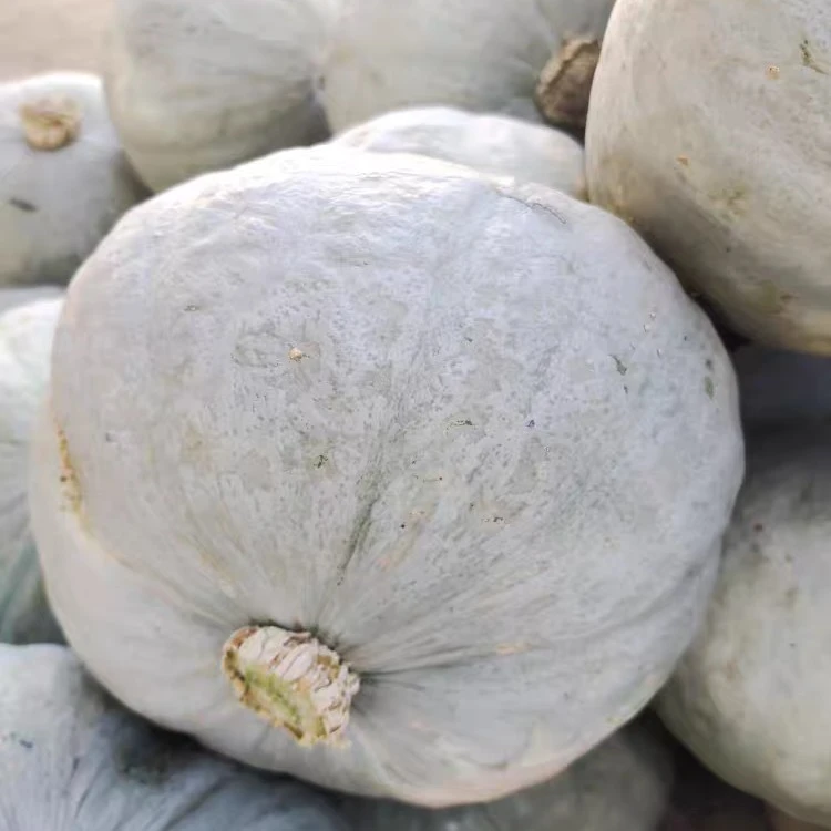 东北延边农家笨南瓜，粉粉糯糯，甜甜的