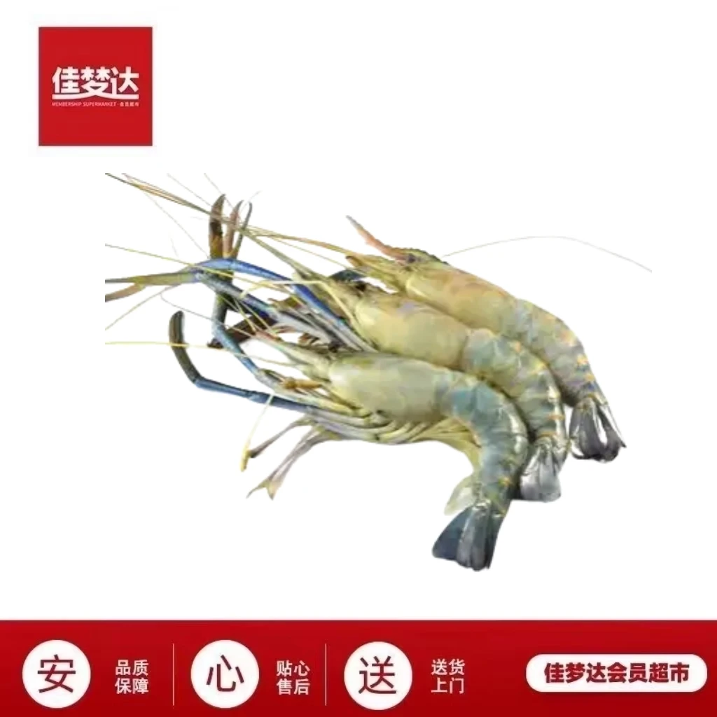 优选鲜活罗氏虾 保鲜不包活运输过程可能出现断氧介意慎拍（多规格）