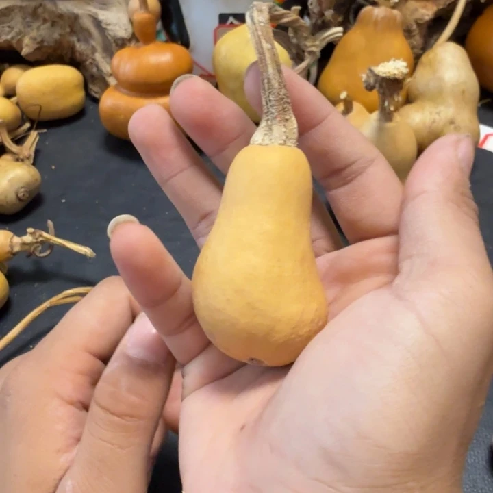 用***0色差88888888888888