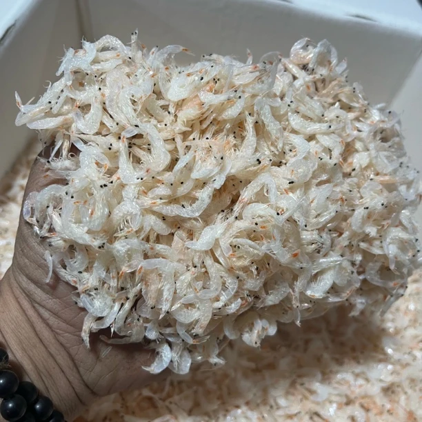 61-3淡干虾皮无盐健康补钙即食煲汤炒菜新鲜干货