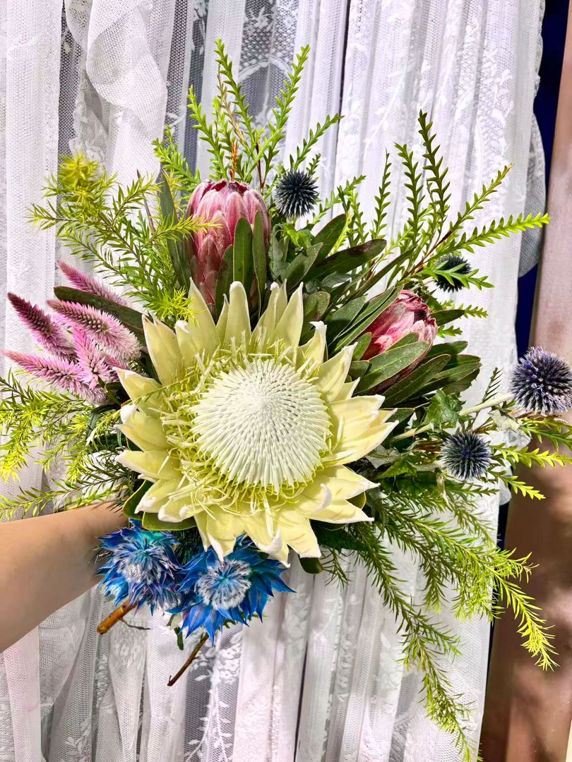 【白帝王花束】南非进口帝王花公主花鲜花花束 可做干花 顺丰包邮