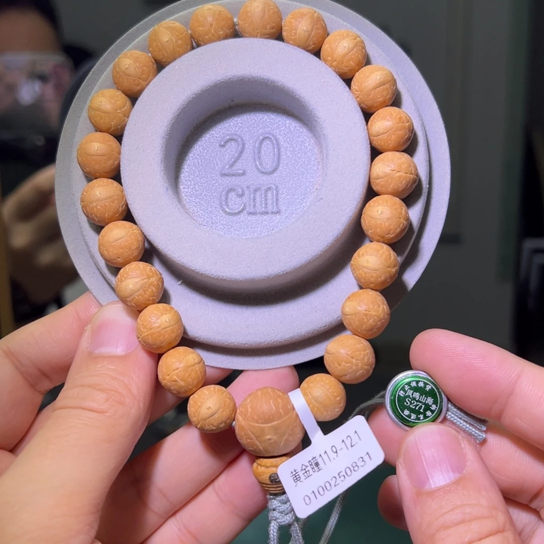 吊坠凤眼菩提25新籽、黄金瞳