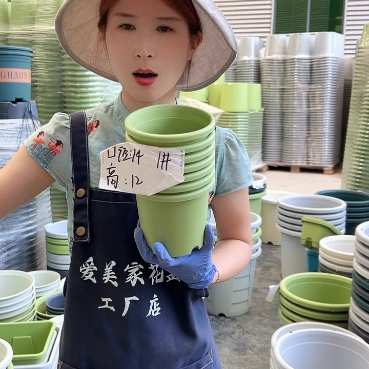 四季盆1#果绿色10个无托