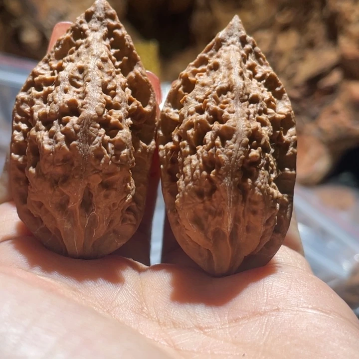 吊坠桃核九哥楸核18