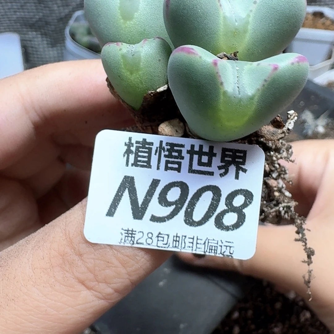 的润泽的润泽去的润泽的动作
