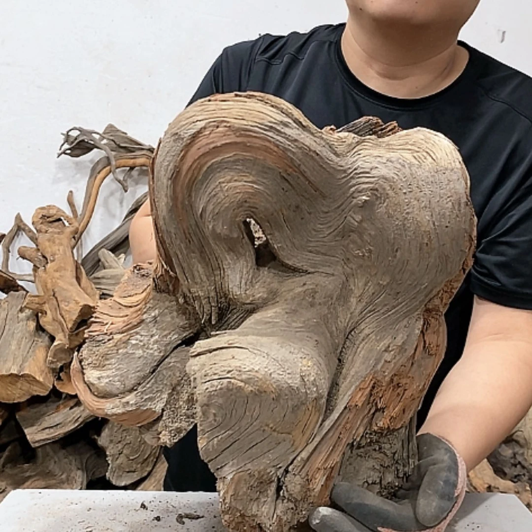 【闪购商品】柏木商**卡我们都在努力着改变自己和