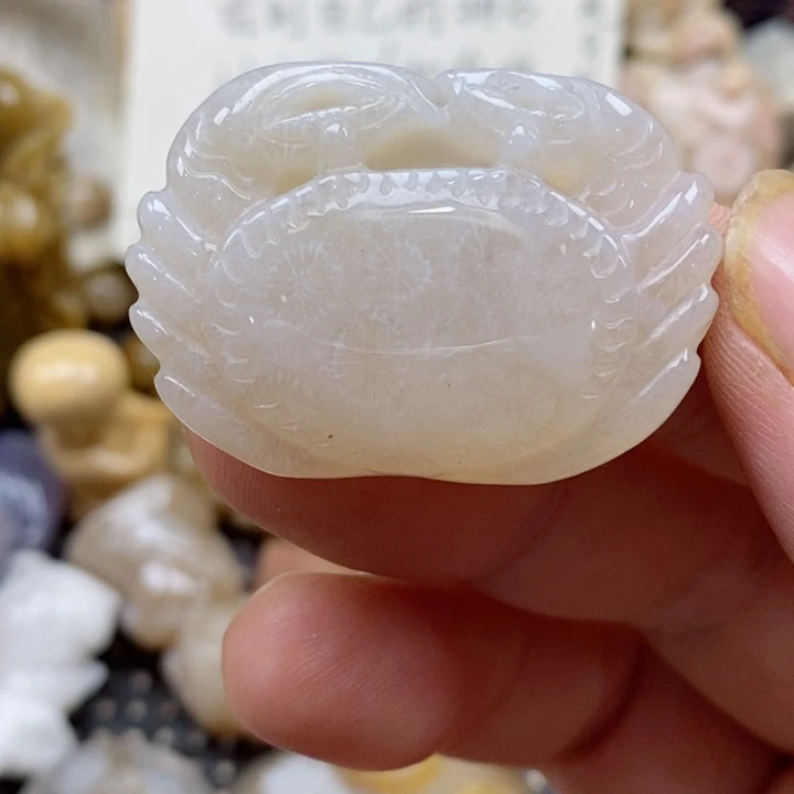 颈饰未镶嵌硅化珊瑚（珊瑚玉）