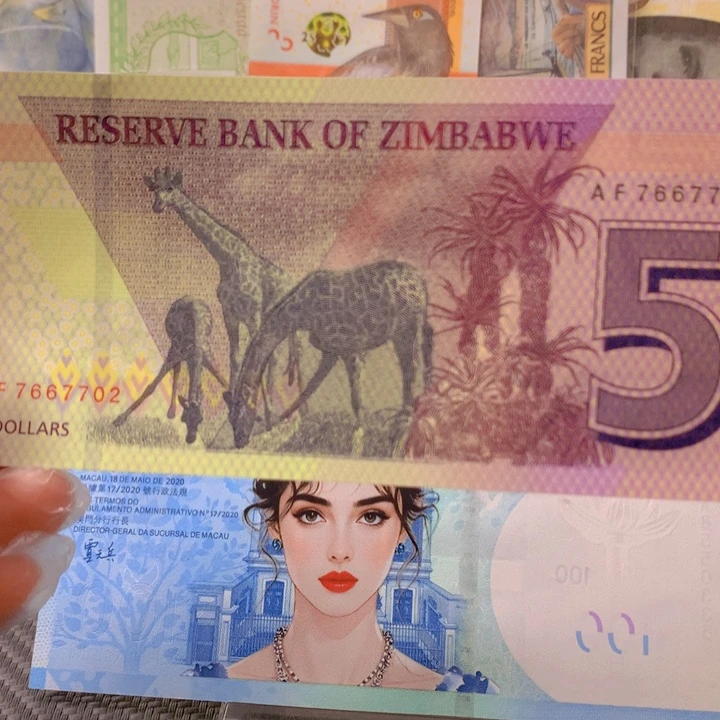 纸币津巴布韦100纸币