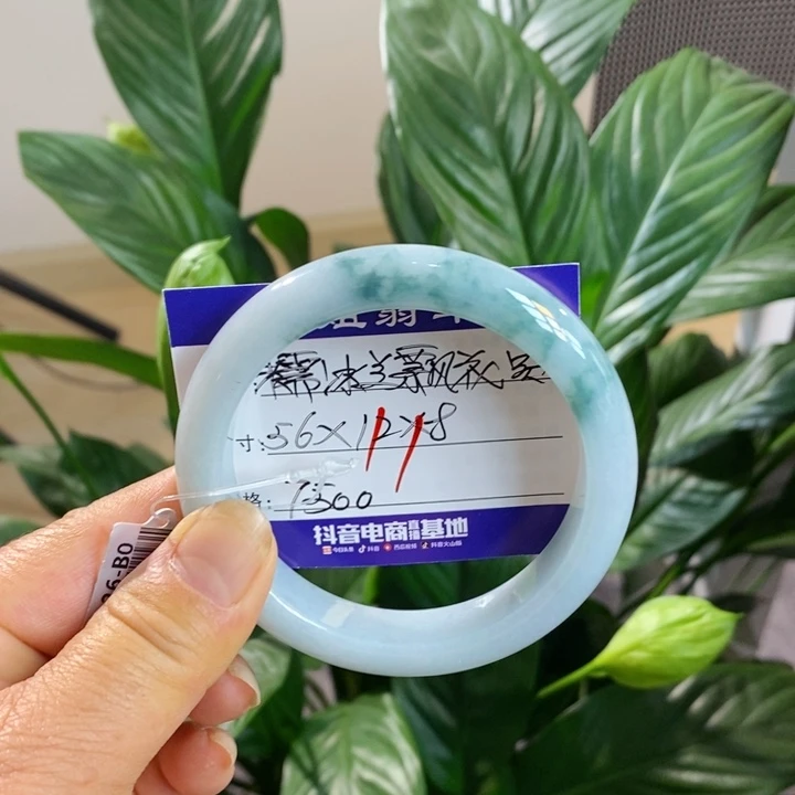【闪购商品】未镶嵌手镯翡翠0000000011