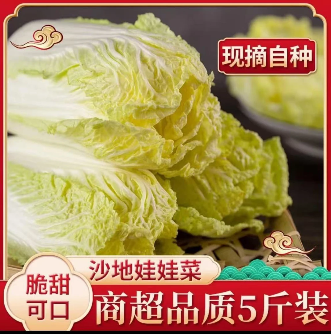 【现挖现发】精品黄心娃娃菜新鲜时令蔬菜5斤装