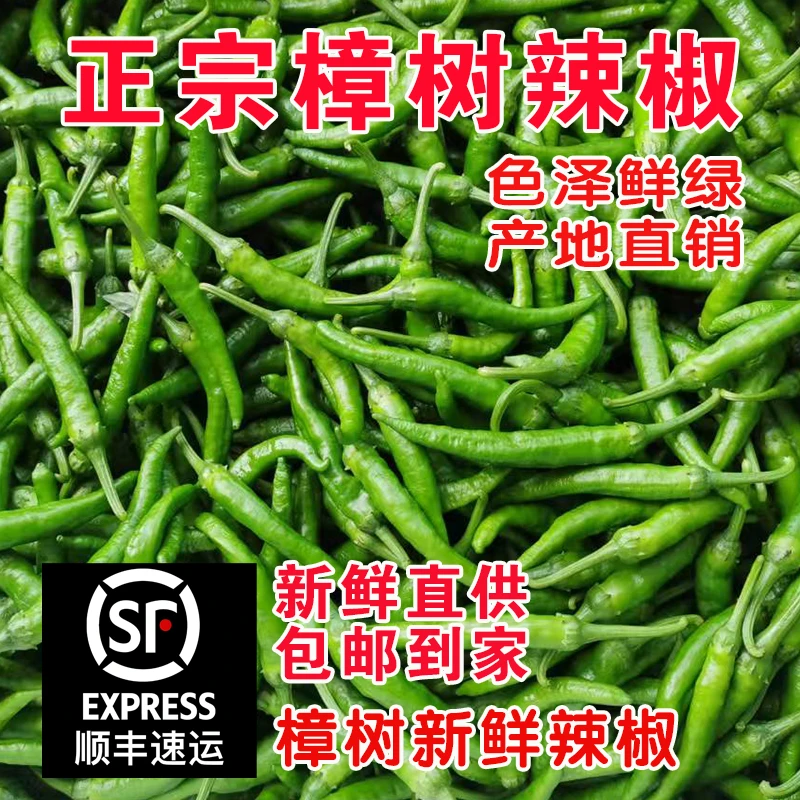 樟树新鲜现摘农家自种特辣中辣微辣湖南小青辣椒薄皮香脆嫩虎皮椒