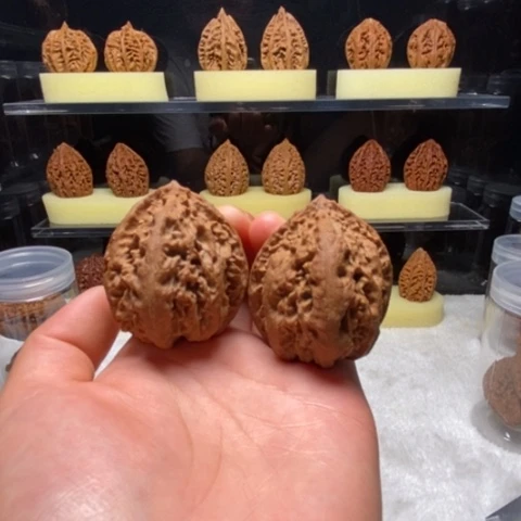 文玩核桃把件粗筋^_^