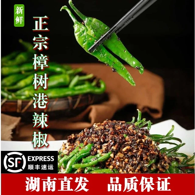 【顺丰空运次日达】9.9一整箱湖南樟树港辣椒青椒小辣椒现摘薄皮特产正宗产地直销批发