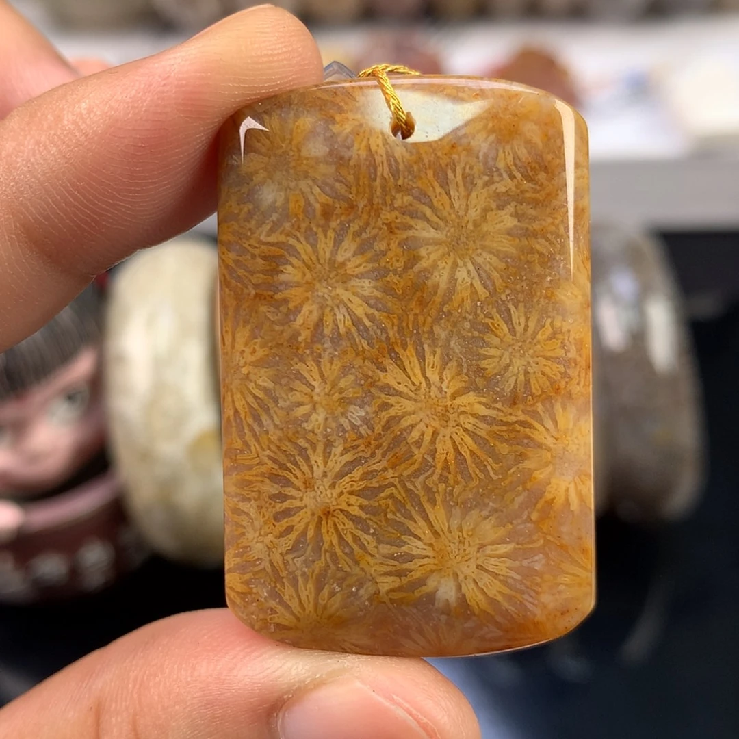 【闪购商品】硅化珊瑚（珊瑚玉）手镯未镶嵌捡漏！（26号）