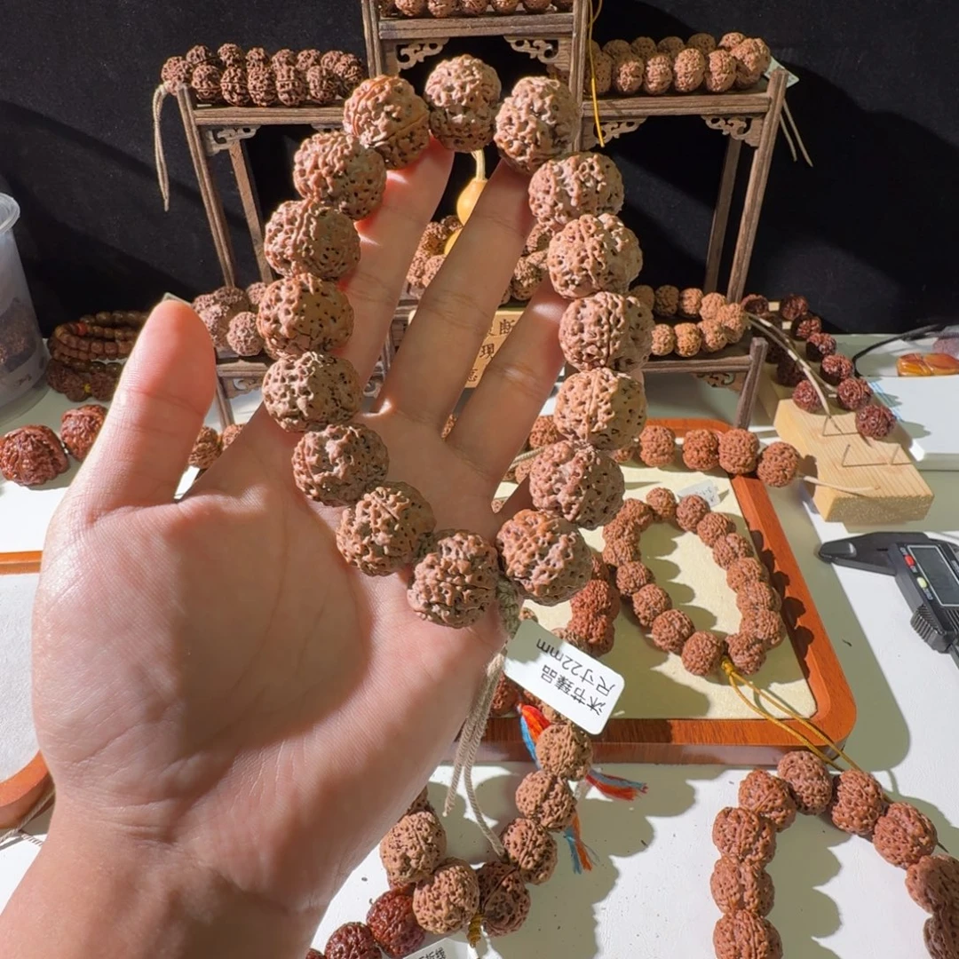 手串金刚菩提22尺寸红皮梅花