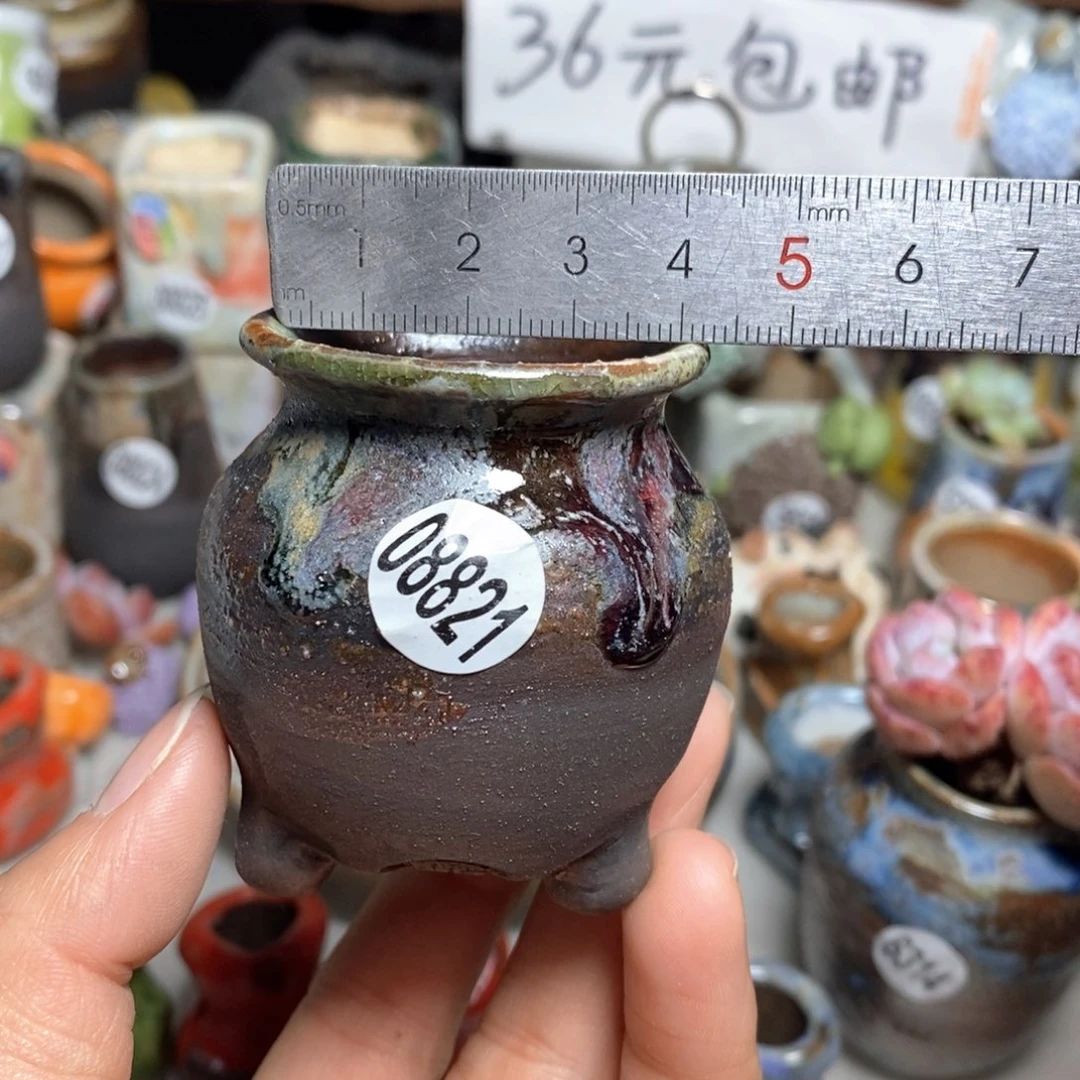 花盆拍5送一个小礼物