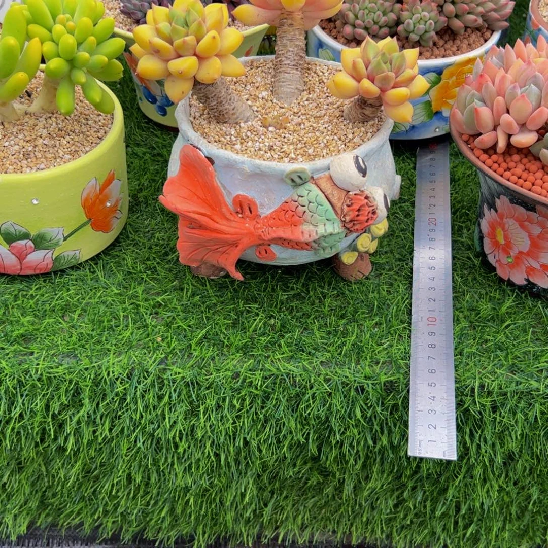 用***9单独只要一个盆的价格