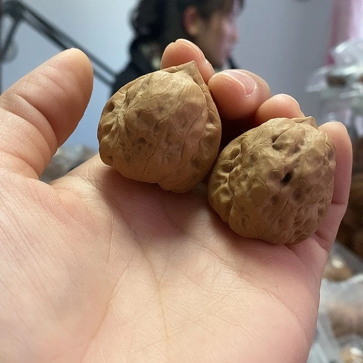 把件文玩核桃36.5古蝉