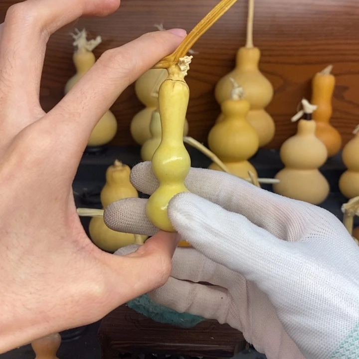 十***二葫芦葫芦头的做法是用