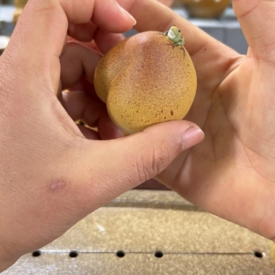 紫砂茶宠紫砂茶器