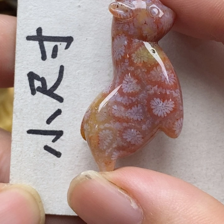 硅化珊瑚（珊瑚玉）未镶嵌颈饰