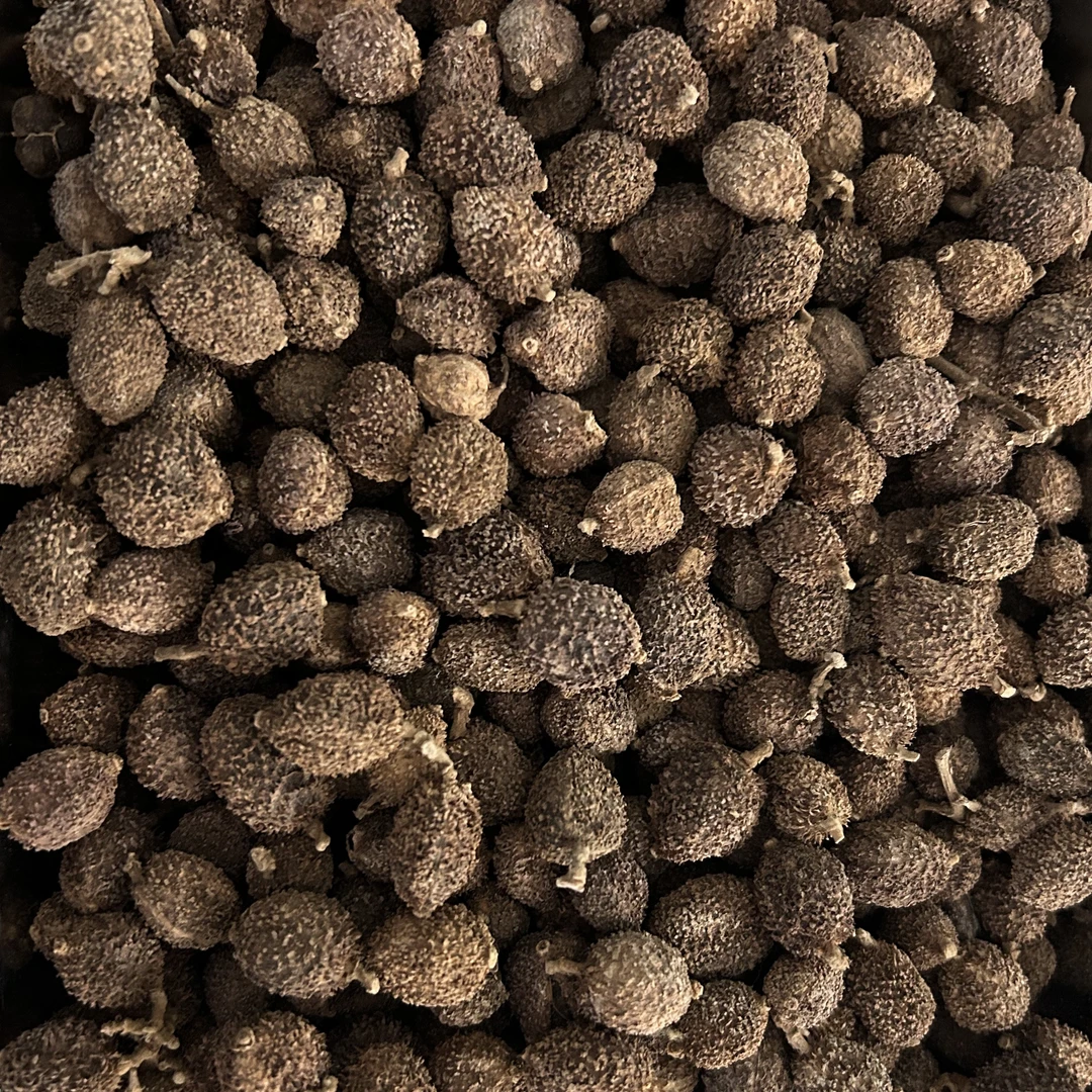 阳春春砂仁传统碳烘可煲汤泡茶正宗黄苗仔砂仁支持试吃