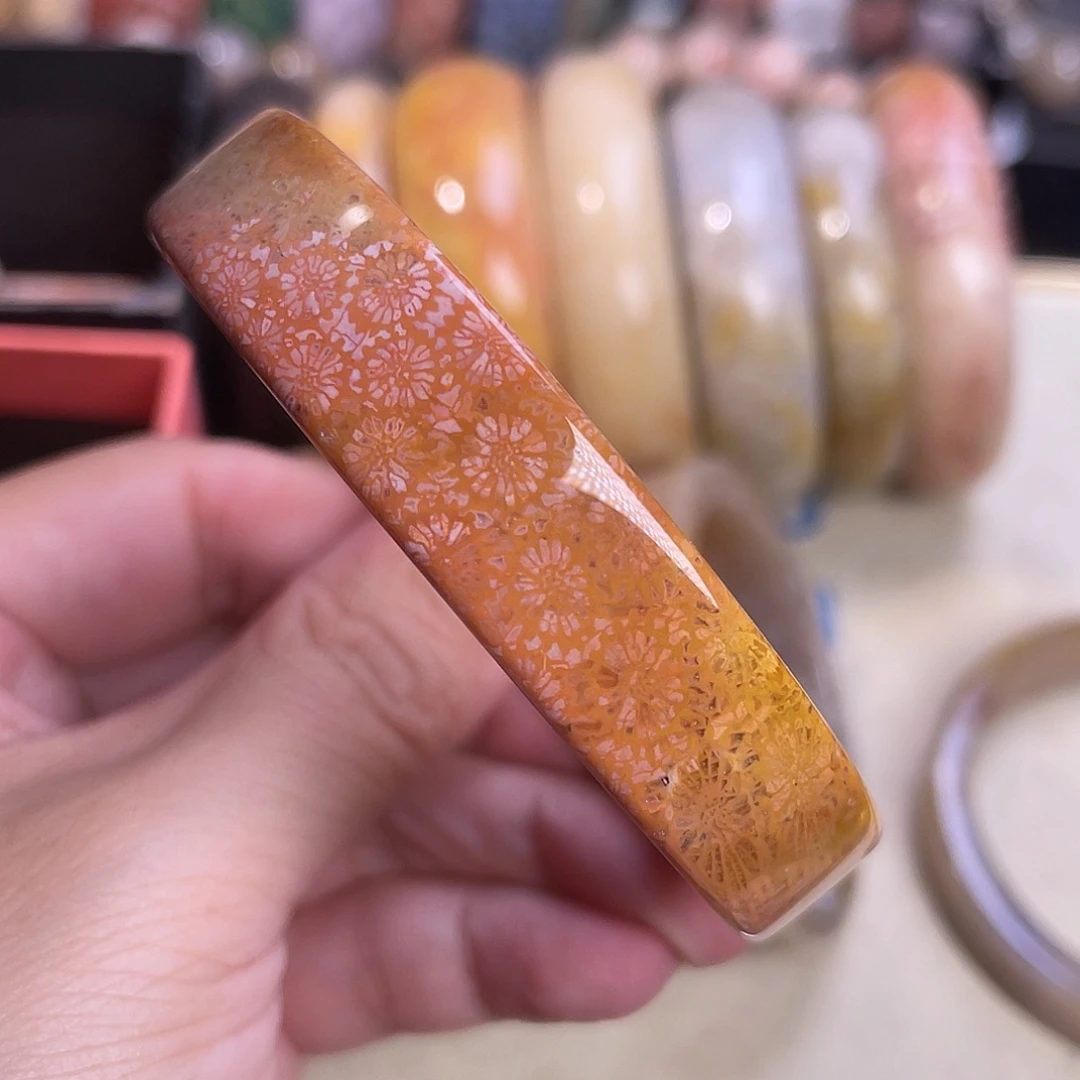 未镶嵌手镯硅化玉