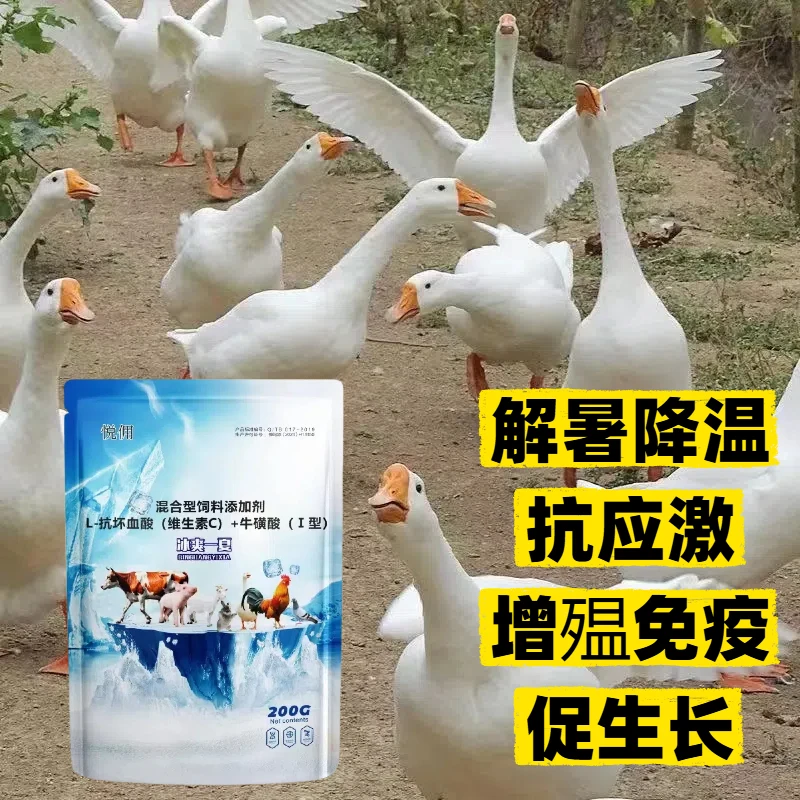 降暑神器猪牛羊解暑降温兽用畜禽鸡鸭鹅防中暑抗热应激家禽粉剂