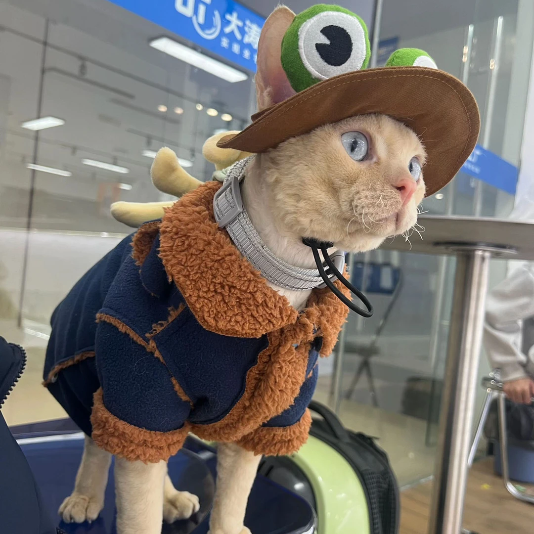 满50包邮无毛德文猫加厚衣服冬季保暖外出服