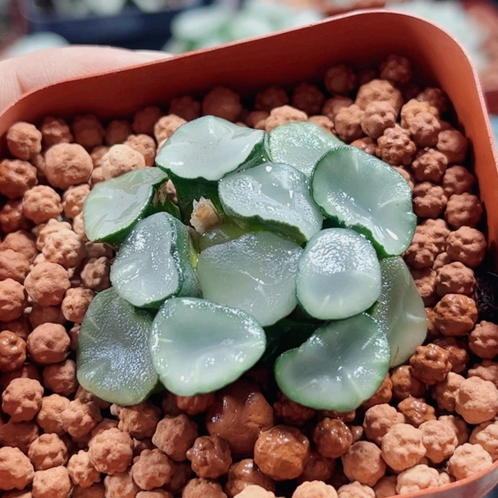 十二卷 空门万象福利