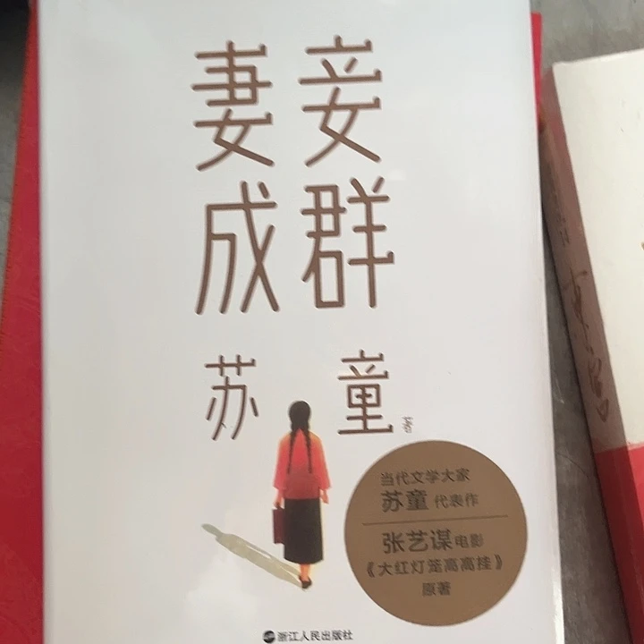 妻妾成群全新精装