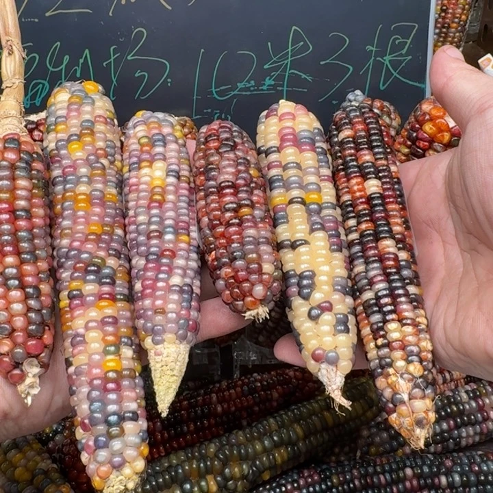 柏香籽/百香籽吊坠狐*呀