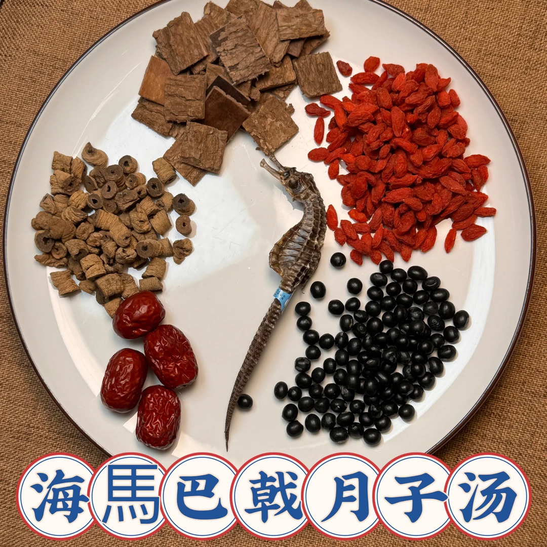 海馬巴戟天杜仲汤-月子疼腰炖黑豆枸杞汤煲汤广式滋补汤男月子餐