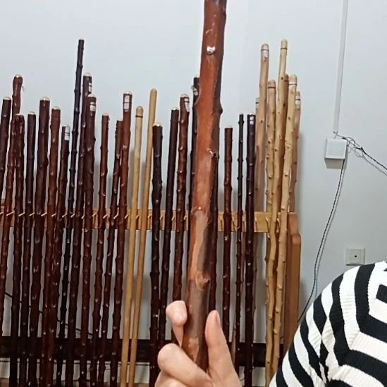 平***7太行山北对节鞭杆登山