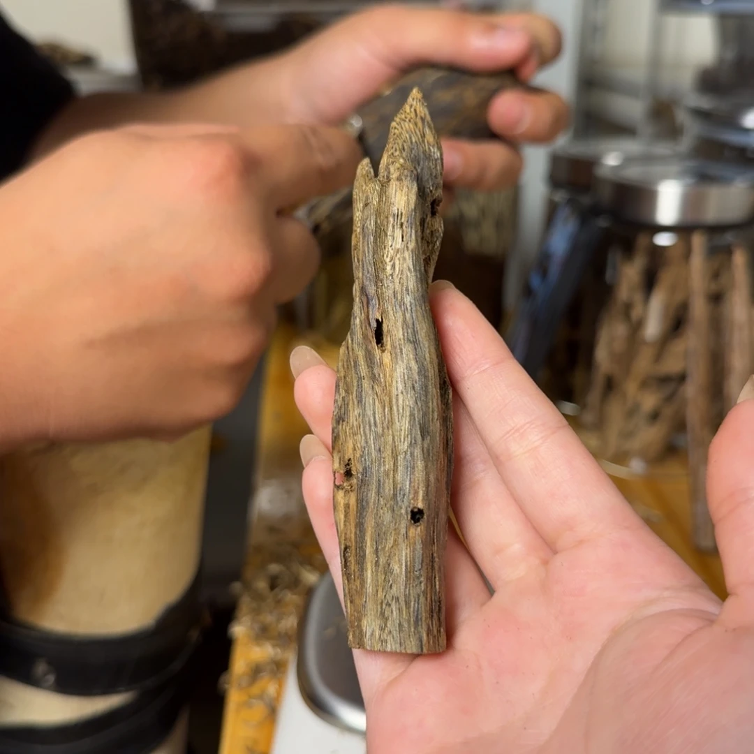 沉香白奇虫漏香13克