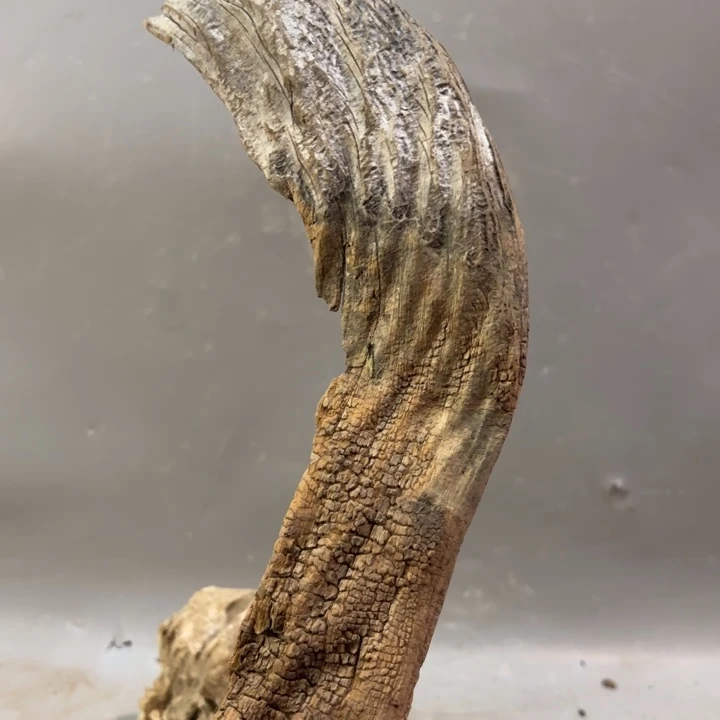 至***诚崖柏高油骨料摆件料