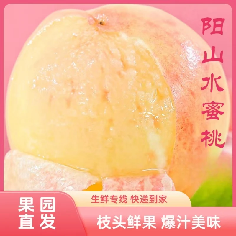 【7-6两湖景】正宗无锡阳山水蜜桃爆甜多汁水果现摘现发