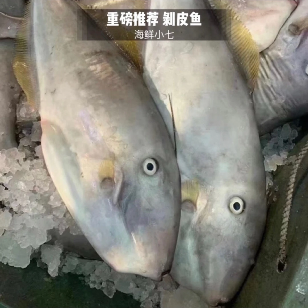 小规格（剥皮鱼）耗儿鱼新鲜到港 包鲜包香包好吃