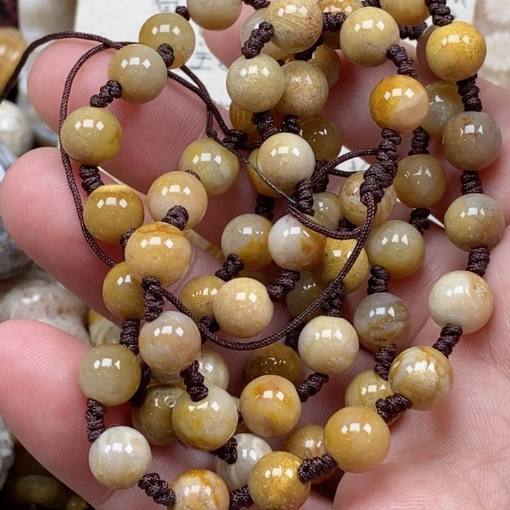 颈饰未镶嵌硅化珊瑚（珊瑚玉）