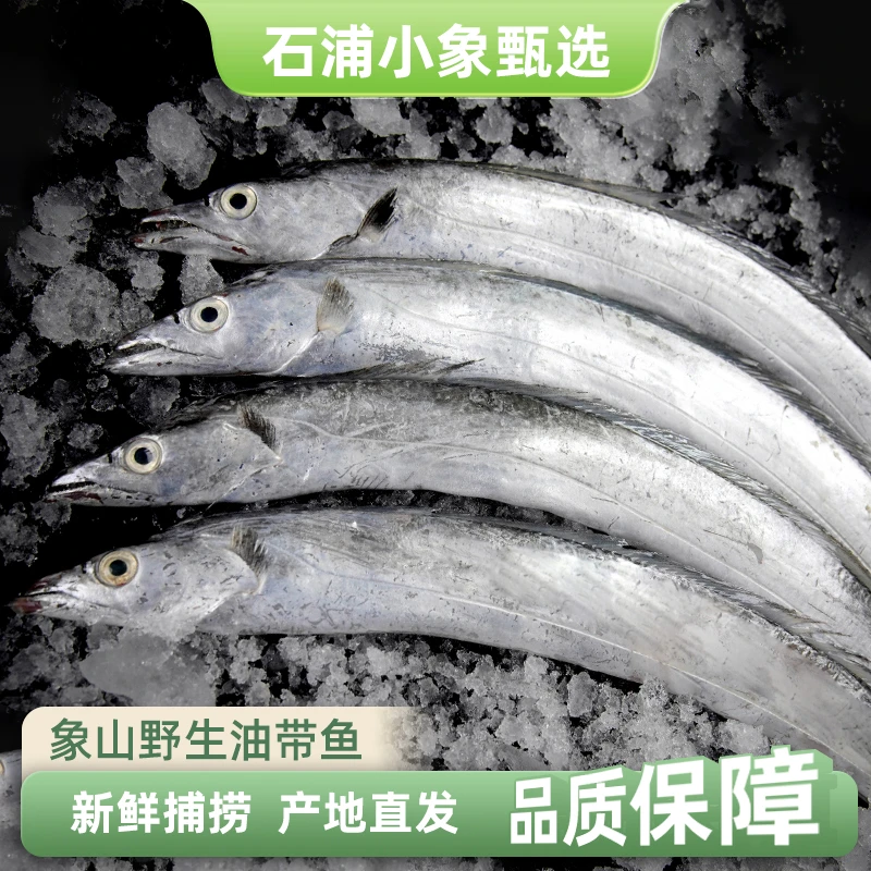 【石浦直供】液氮锁鲜油带鱼野生海捕东海鲜冻小眼带鱼码头直发速达