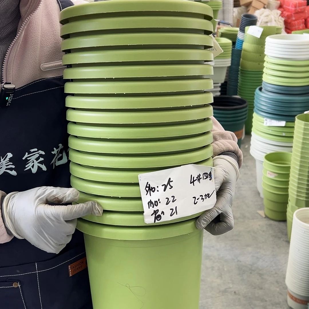 四季盆4#果绿色8个无托