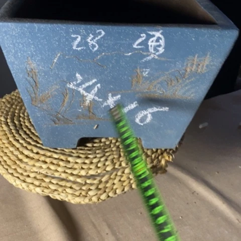 紫砂花盆云*玄自销自销