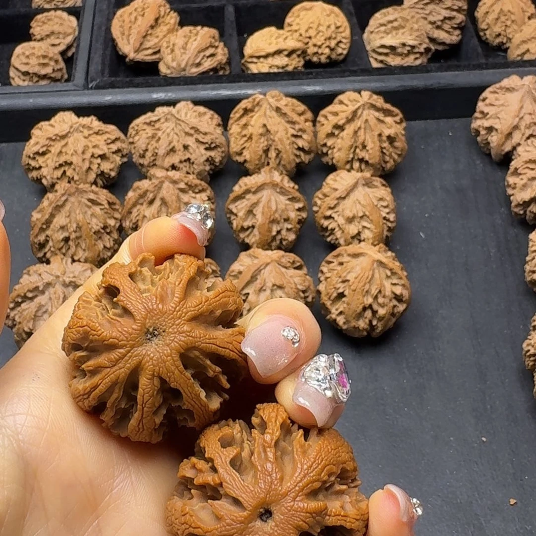 刘***奶桃木突突突突突突突