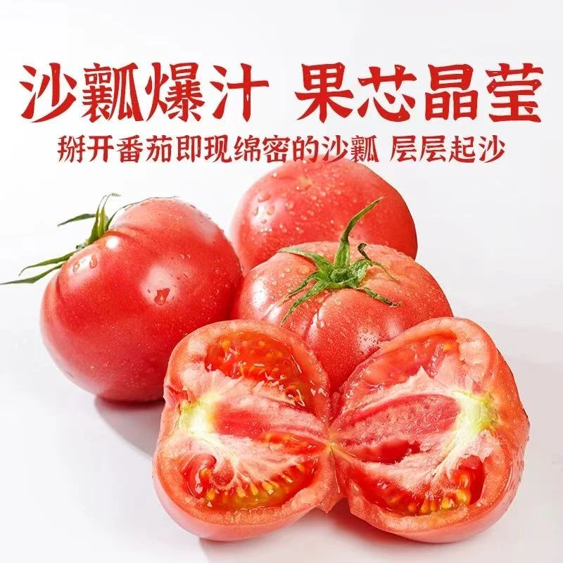 【普罗旺斯西红柿】沙瓤西红柿新鲜应季顺丰包邮