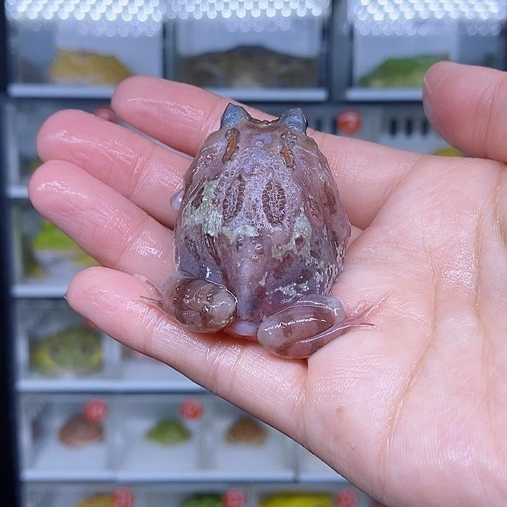 特价秒杀现货特价